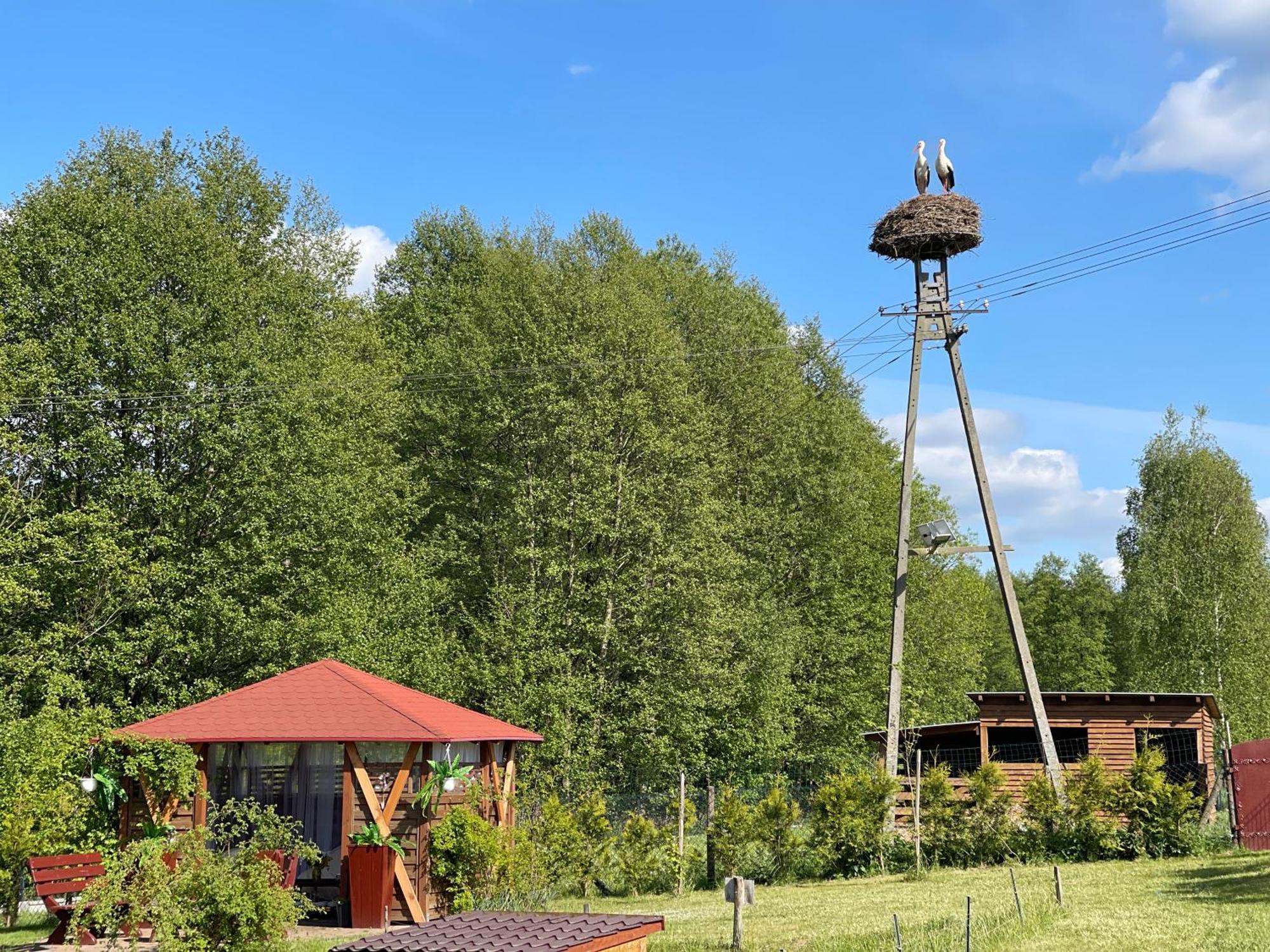 Villa Agro Na Wapniarni Biala  Exterior foto